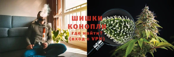 mdpv Вяземский