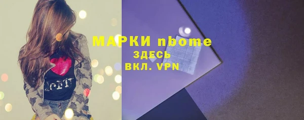 mdpv Вяземский